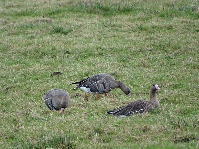 机械制造类摄影